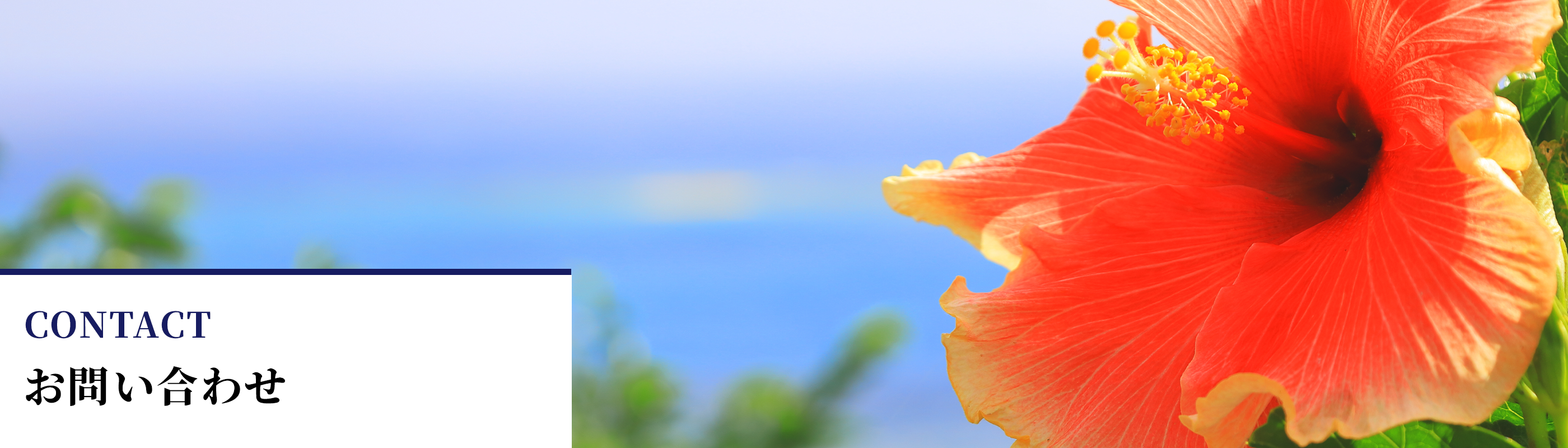 お問い合わせ｜沖縄リアルエステート株式会社